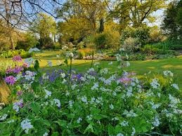 Beth Chatto's Gardens