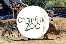 Colchester Zoo